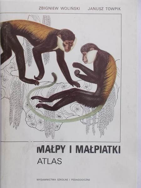 Woliński Zbigniew - Małpy i małpiatki. Atlas