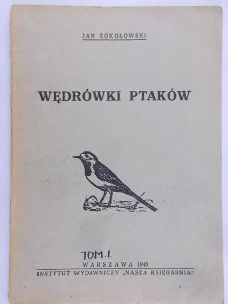 Domaniewski Janusz - Wędrówki ptaków, 1946 r.