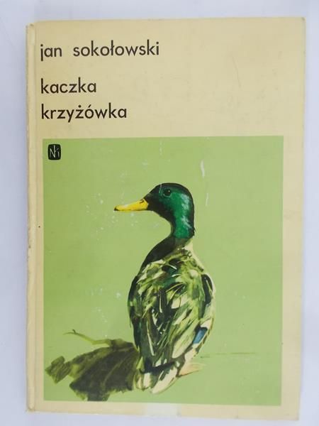 Sokołowski Jan - Kaczka krzyżówka