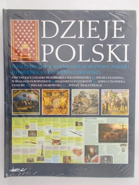 Dzieje Polski, nowa