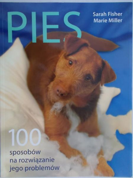 Pies