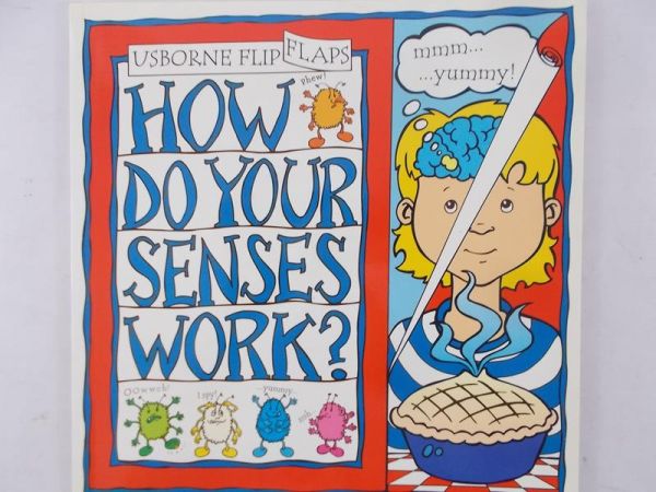 Tatchell Judy - How do your senses work?