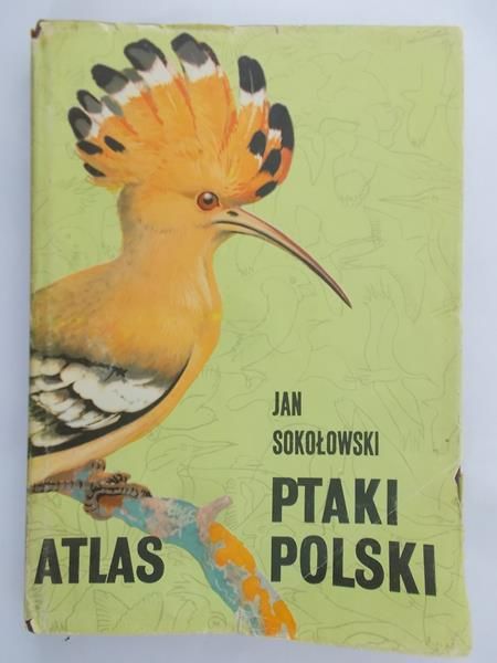 Sokołowski Jan - Ptaki Polski. Atlas