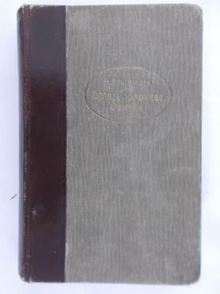 Pontoppidan Henryk - Diabeł domowego ogniska, 1922 r.