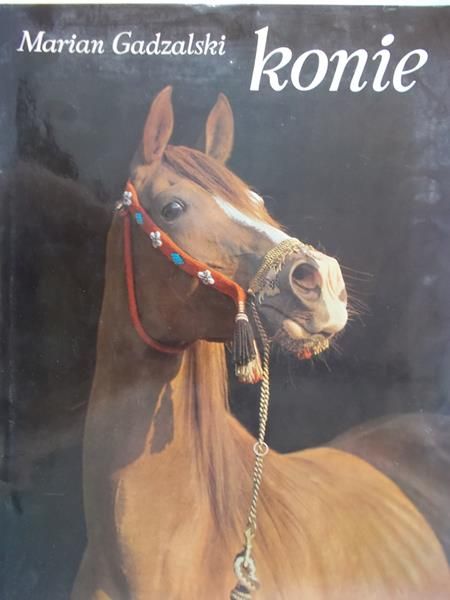 Gadzalski Marian - Konie