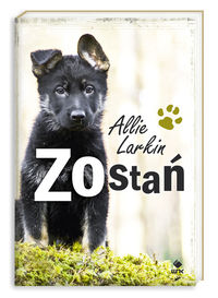 Larkin Allie - Zostań