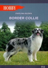 Budek Ewelina - Border collie