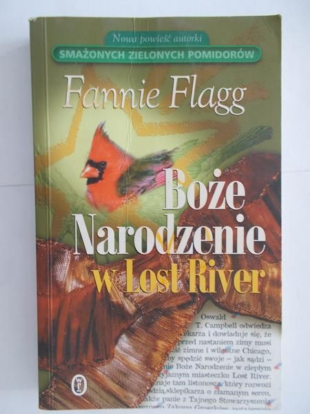 Flagg Fannie - Boże Narodzenie w Lost River