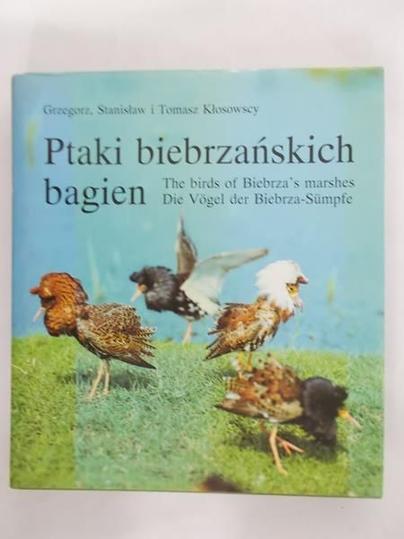 Kłosowski Tomasz - Ptaki biebrzańskich bagien
