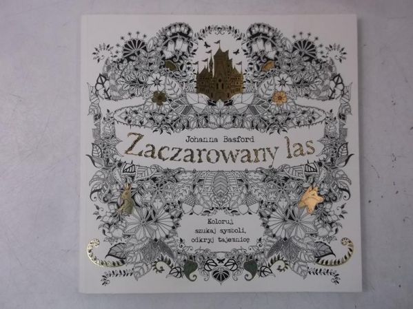 Basford Johanna - Zaczarowany las, Nowa