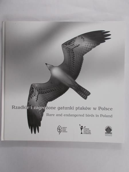 Rzadkie i zagrożone gatunki ptaków w Polsce