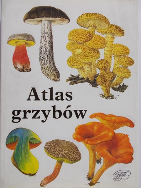 Svrcek Mirko - Atlas grzybów