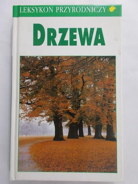 Kremer Bruno T. - Drzewa
