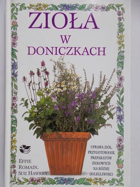 Romain Effie - Zioła w doniczkach