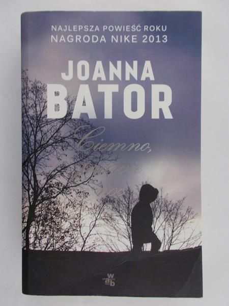 Bator Joanna - Ciemno, prawie noc