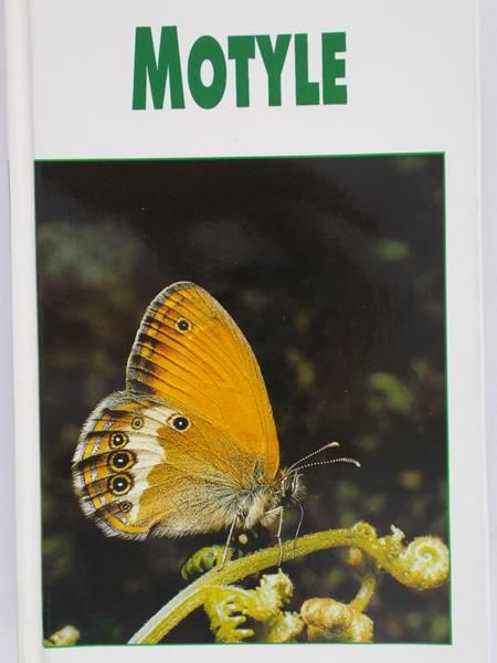 Reichholf-Riehm Helgard - Motyle