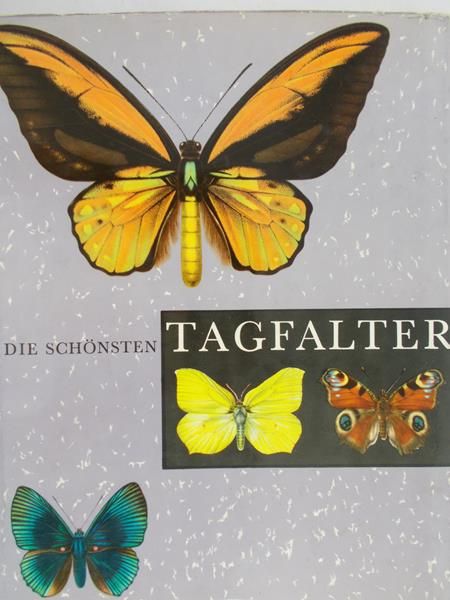 Moucha Josef  - Die schonsten Tagfalter