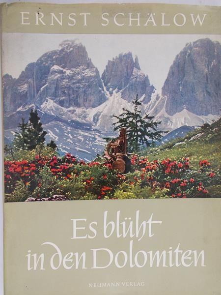 Schalow Ernst - Es Bluht in den Dolomiten