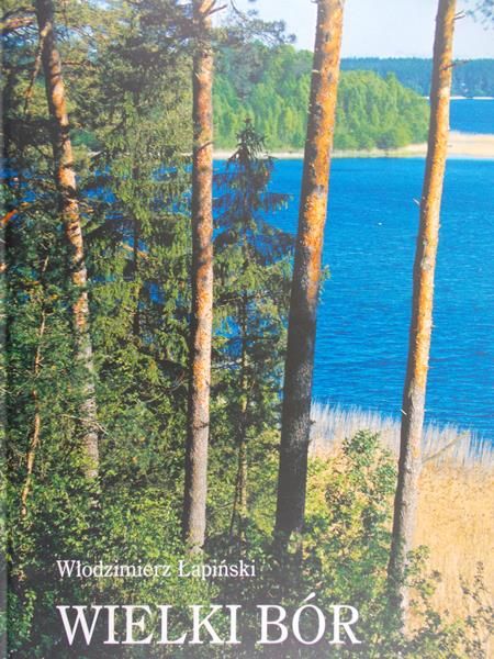 Łapiński Włodzimierz - Wielki Bór
