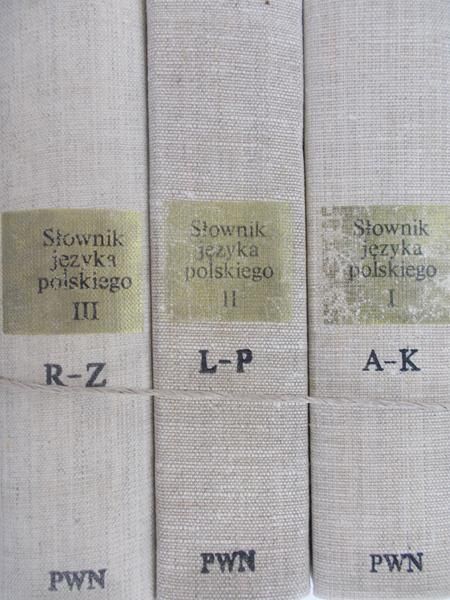 Łąkowski Rafał (red.) - Słownik Języka Polskiego, Tom I-III