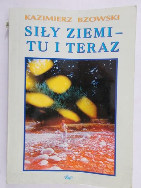 Bzowski Kazimierz  - Siły ziemi – tu i teraz