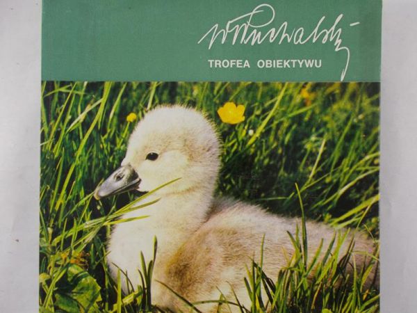 Święch Zbigniew - Trofea Obiektywu