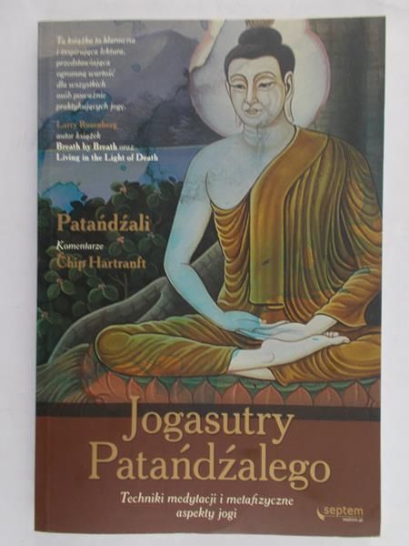 Dauster Gustavo - Jogasutry Patandżalego