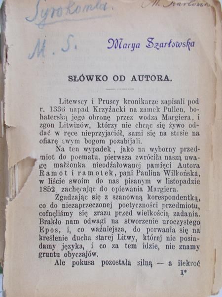 Syrokomla Władysław - Stare wrota, Starosta Kopanicki, Kasper Karliński, Wiejscy politycy, 1913 r.