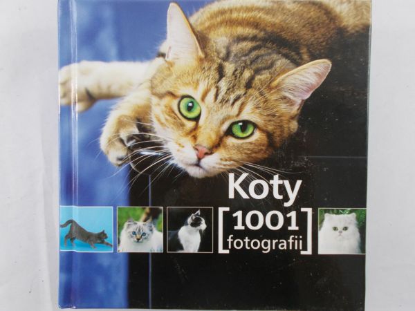 Koty, 1001 fotografii