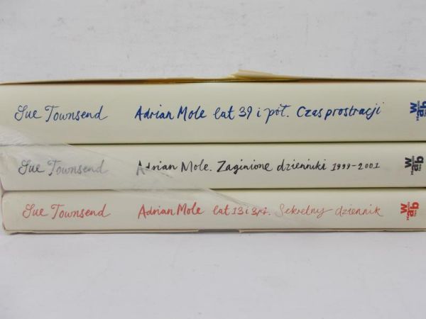 Mole Adrian - Lat 39 i pół Czas prostracji, lat 13 i 3/4 Sekretny dziennik, Zaginione dzienniki 1999-2001 - Nowa