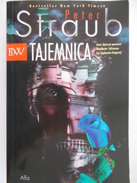 Straub Peter - Tajemnica