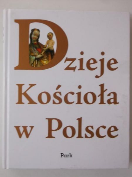Więcek Andrzej (red.) - Dzieje Kościoła w Polsce