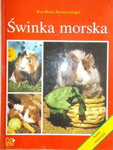Bartenschlager Eva Maria - Świnka morska
