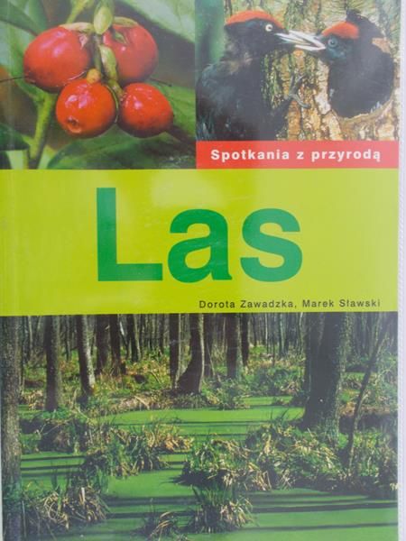 Zawadzka Dorota - Las. Spotkania z przyrodą