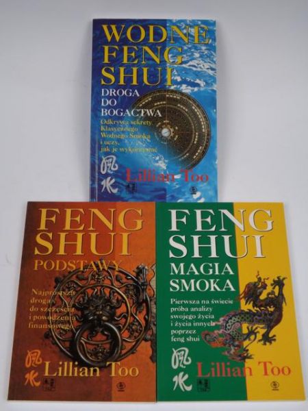 Wodne Feng Shui / Feng Shui podstawy / Feng Shui Magia Smoka, Nowa