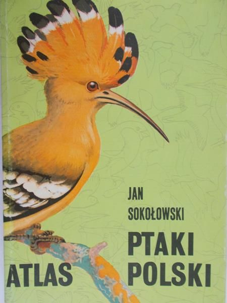 Sokołowski Jan - Ptaki Polski