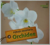 Kullmann Folko - Orchidee Porady eksperta