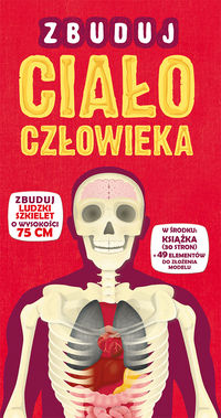 Zbuduj ciało człowieka, Nowa