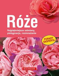 Richter Gabriele - Róże