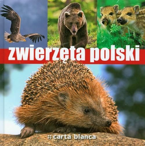 Zwierzęta Polski