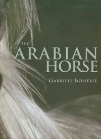Boiselle Gabriele - Arabian Horse