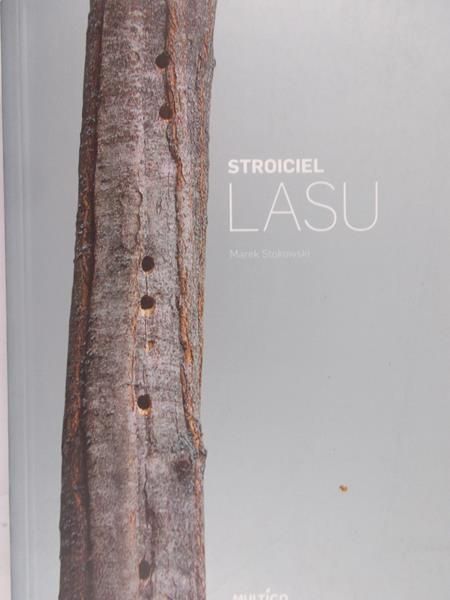 Stokowski Marek - Stroiciel lasu