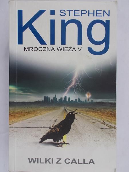 King Stephen - Mroczna wieża T.5 Wilki z Calla