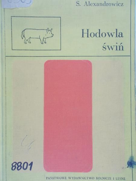 Alexandrowicz S. - Hodowla świń