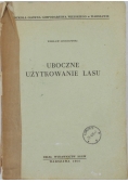 Uboczne użytkowanie lasu