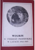 Węgrzy w twierdzy przemyskiej w latach 1914-1915