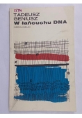 W łańcuchu DNA