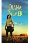 Osaczony, Nowa