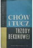 Chów i tucz. Trzody bekonowej