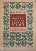 Obrazki z życia ptaków w zimie , 1950 r.